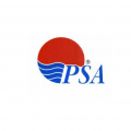 Титановые PSA